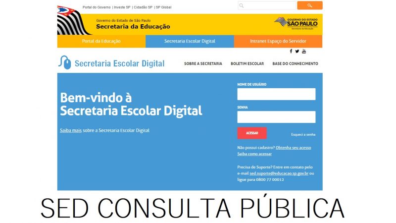 SED Consulta Pública: O Que É e Como Funciona?